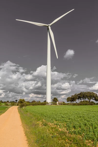 Tuuliturbiini — kuvapankkivalokuva