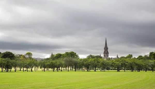 Vihreät nurmikon luumupuut Meadowsin puistossa Edinburghissa — kuvapankkivalokuva