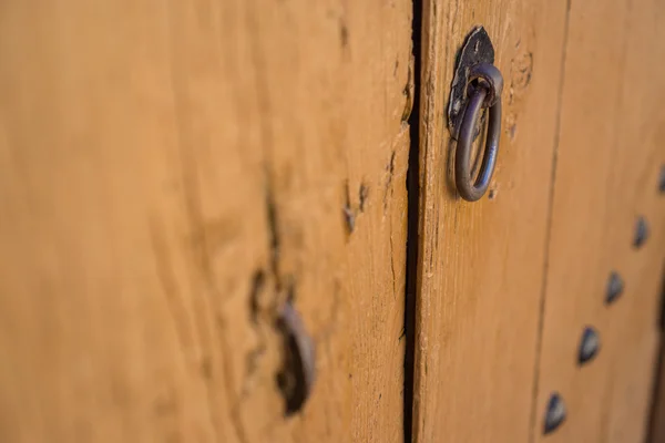 Old doorknocker e porta — Fotografia de Stock