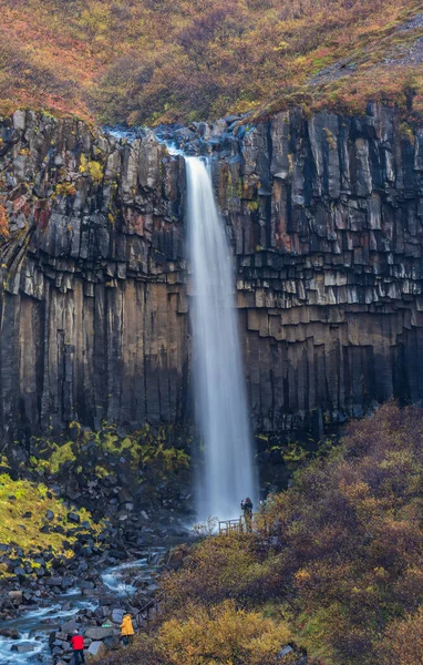 Jedwabna woda wodospadowa Svartifoss w parku narodowym Skaftafell na Islandii. — Zdjęcie stockowe