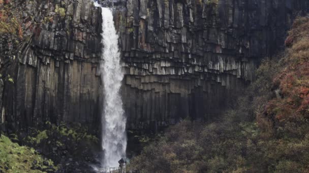 Cachoeira Svartifoss slow-mo com muitos turistas — Vídeo de Stock