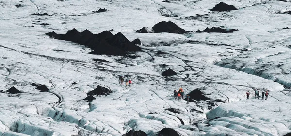 De nombreux groupes de randonneurs marchent sur le glacier massif — Photo