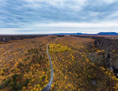 Asbyrgi derin kanyonu Kuzey İzlanda 'da sonbaharda görkemli bir yol