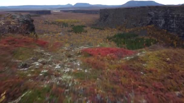 Kamera przesuwna Asbyrgi Canyon na Islandii — Wideo stockowe