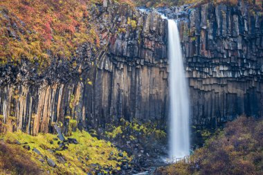 Ünlü Svartifoss şelalesi bulanık turistlerle uzun süre temas halinde.