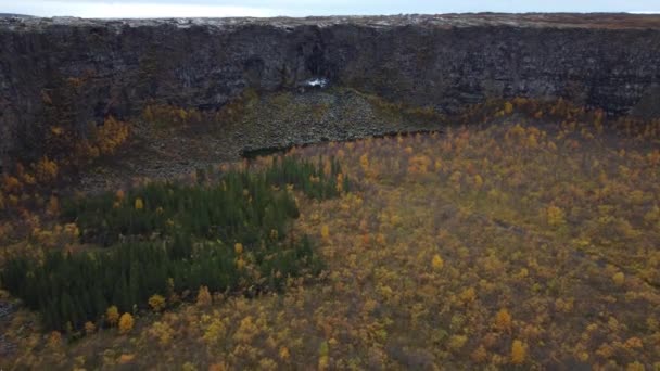 Vuelo del cañón de Asbyrgi a la cascada en Islandia — Vídeos de Stock