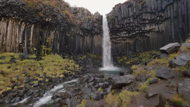 Svartifoss vattenfall slow motion i Skaftafell nationalpark, Island. — Stockvideo