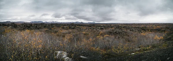 Panoramiczny widok na duże pole lawy na Islandii — Zdjęcie stockowe