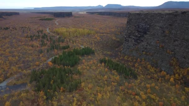 Asbyrgi canyon drone view on autumn, Islandia — Vídeo de stock