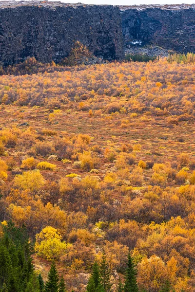 Walls surrounding canyon with orange trees on autumn — Stock Photo, Image