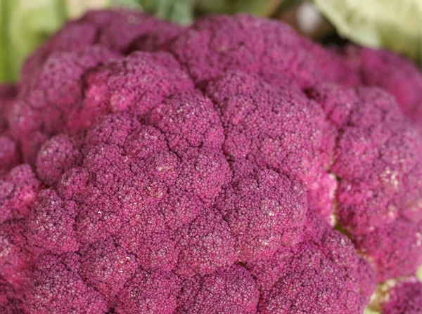Purple Broccoli Vegan close-up macro — Stock Photo, Image