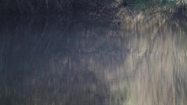 Ondas suaves en el lago con poca niebla, loopable — Vídeos de Stock