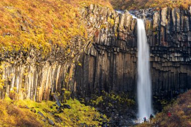Svartifoss Şelalesi Skaftafell Ulusal Parkı 'nda turistlerle, İzlanda.