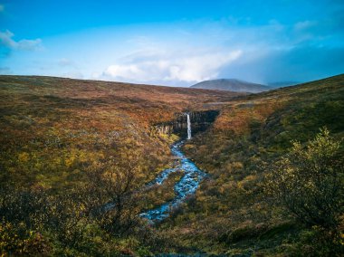 Svartifoss şelalesi geniş açı görünümü