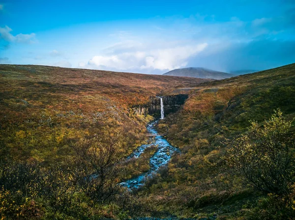 Svartifoss şelalesi geniş açı görünümü