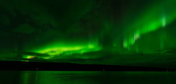 Northern lights over the calm lake with green reflections and lighted plant
