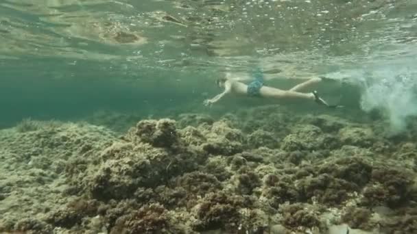 Unrecognizable Person Snorkeling Recording Shallow Ocean Waters — Stockvideo