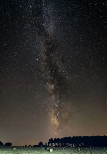 Large Straw Alpacas Field Milky Way Vertical Composition — Foto de Stock