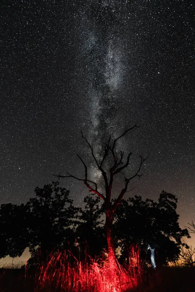 Dead Dark Red Tree Dark Milky Way — Stockfoto