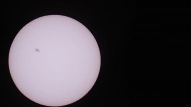Güneş lekeleri ve kuş silueti olan dev bir güneş, siyah arka plan.