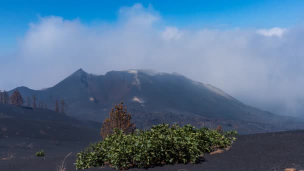 Cumbre Vieja Volcano Crater Mist Palma Spain — 图库视频影像