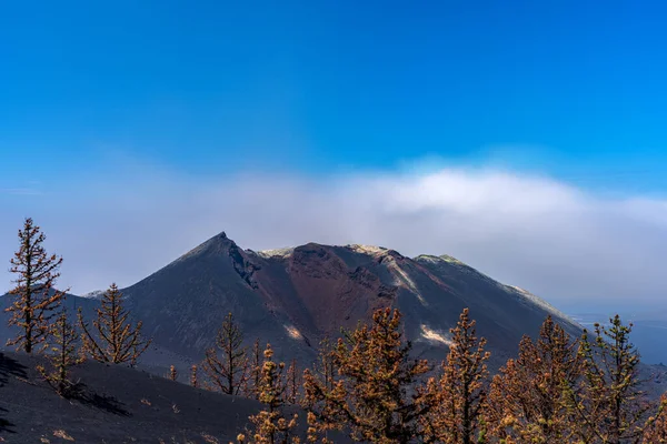 Cumbre Vieja Sopka Kráter Detail Dlouhé Expozice Mrtvými Stromy Palma — Stock fotografie