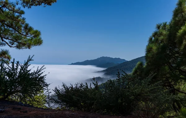 Larga Exposición Del Mar Nubes Sobre Bosque Pinos Picos Montaña —  Fotos de Stock
