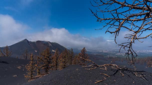 Cratera Vulcão Cumbre Vieja Grande Lapso Tempo Com Pinheiros Mortos — Vídeo de Stock