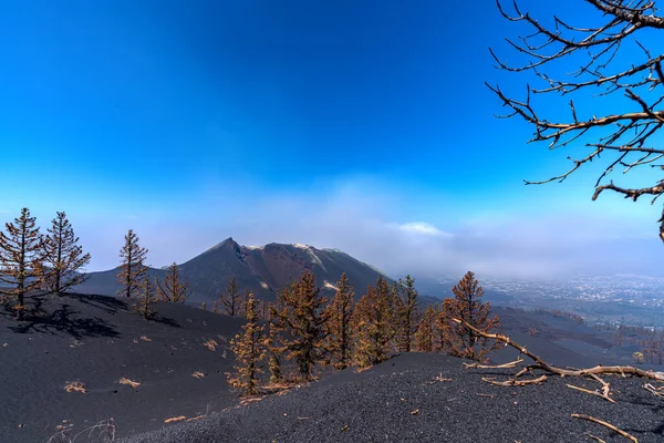 Cráter Del Volcán Cumbre Vieja Larga Exposición Con Árboles Muertos — Foto de Stock