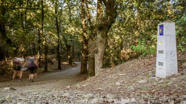 Seyyahlar Camino de Santiago yolunda kilometre taşına odaklanmış durumdalar.