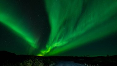 Görkemli kuzey ışıkları, yol üzerinde yeşil ışık.