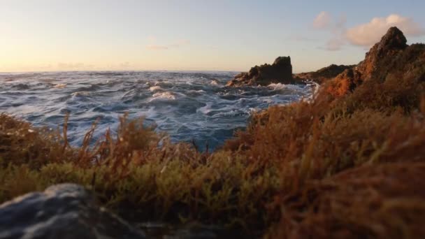 Груба Берегова Лінія Хвилі Пробиваються Камеру Повільному Русі — стокове відео