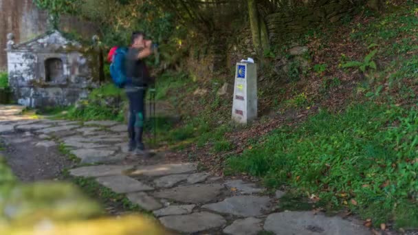 Timelapse Pilgrims Observing Camino Santiago Milestone — Stock Video