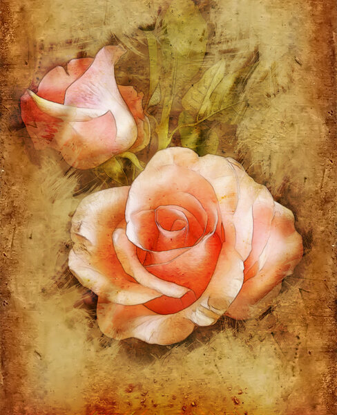 Image roses on different background. Made in graphic style. Useful for different design goals