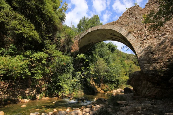 Ponte de pedra, rio Neda, Peloponeso, sul da Grécia — Fotografia de Stock