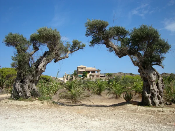 Pueblo de Vasilikos, isla de Zante — Foto de Stock