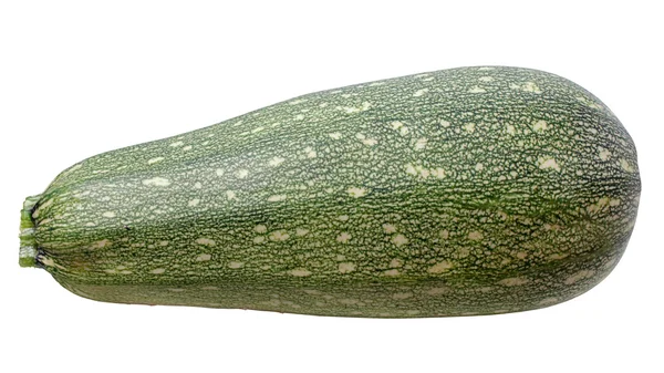 vegetable marrow | 图库照片 08 sergey goryachev #13130062
