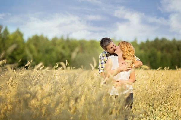 Paar zoenen in rogge veld — Stockfoto