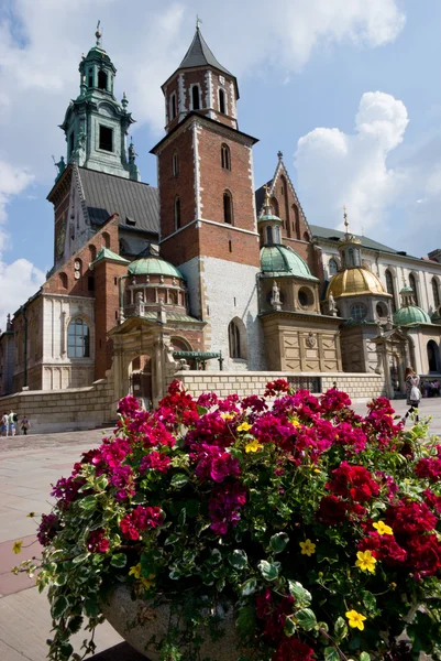 Blommor och slott — Stockfoto