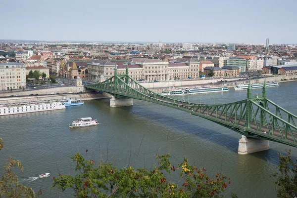 Río Danubio y Puente de la Libertad —  Fotos de Stock