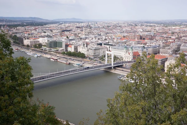 Puente sobre el río y los árboles —  Fotos de Stock