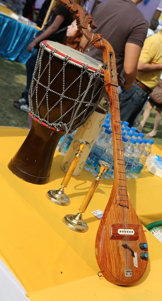 Indian musical instruments