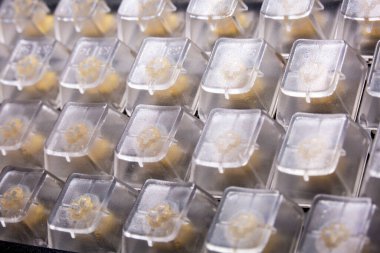 Siyah arkaplanda RGB LED arka plan klavyesi oynanıyor.