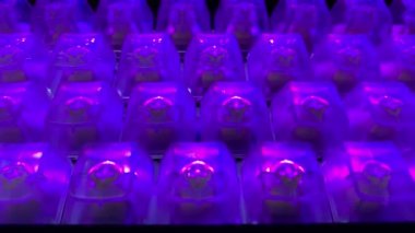 Siyah arkaplanda RGB LED arka plan klavyesi oynanıyor