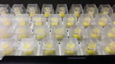 Siyah arkaplanda RGB LED arka plan klavyesi oynanıyor