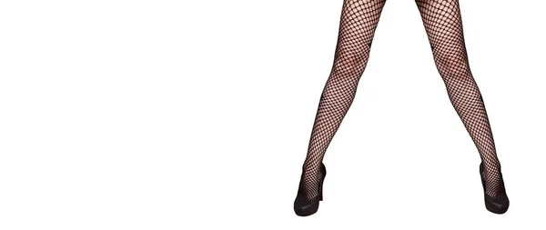 高いヒールの女性のセクシーな脚黒靴と網タイツ — ストック写真