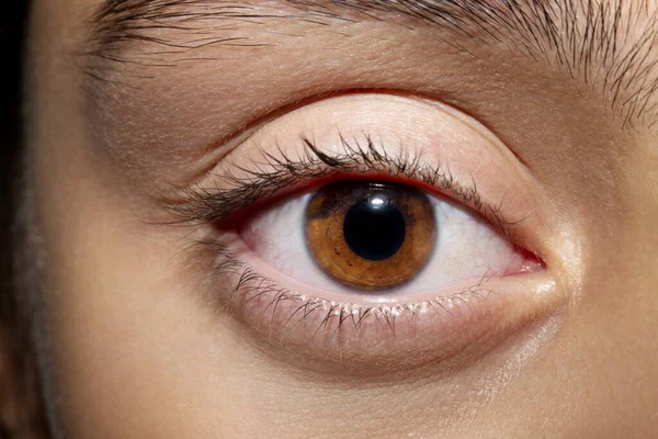 Schöne Aufschlussreiche Braune Augen Nahaufnahme — Stockfoto