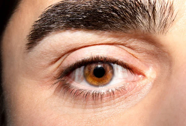 Imagen Del Ojo Marrón Del Hombre Cerca Aspecto Perspicaz — Foto de Stock