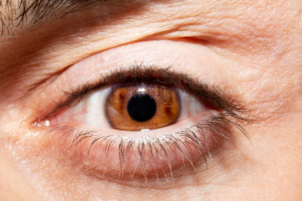 Imagen Del Ojo Marrón Del Hombre Cerca Aspecto Perspicaz — Foto de Stock