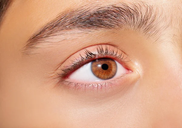 Schöne Aufschlussreiche Braune Augen Nahaufnahme — Stockfoto